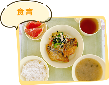 園概要